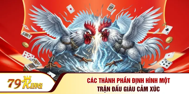 Các thành phần định hình một trận đấu giàu cảm xúc