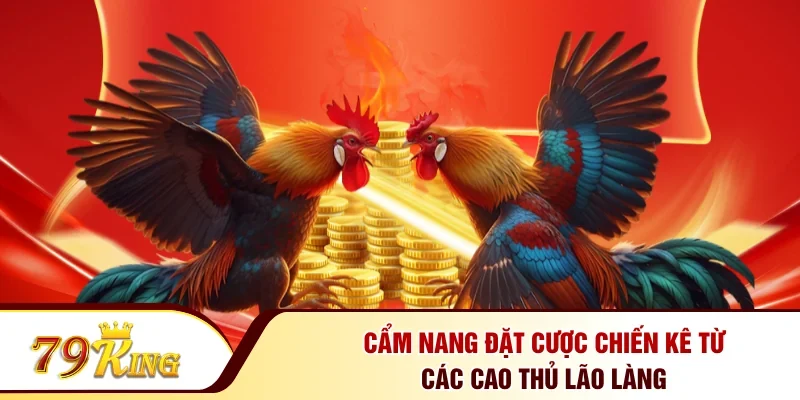 Cẩm nang đặt cược chiến kê từ các cao thủ lão làng 
