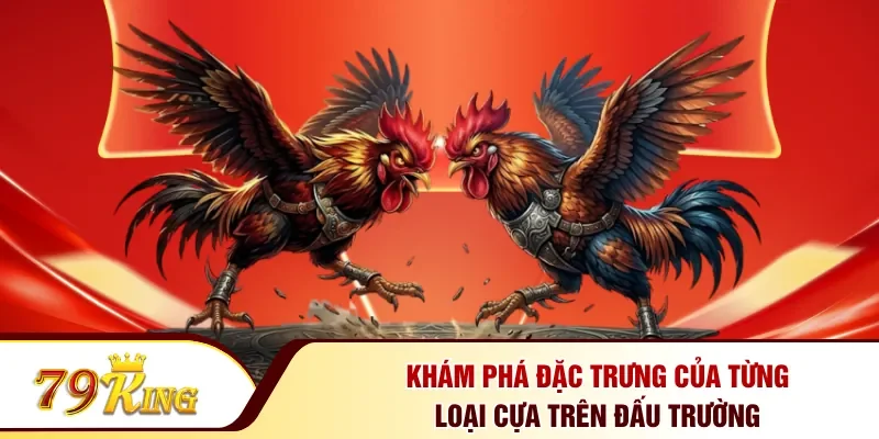 Khám phá đặc trưng của từng loại cựa trên đấu trường