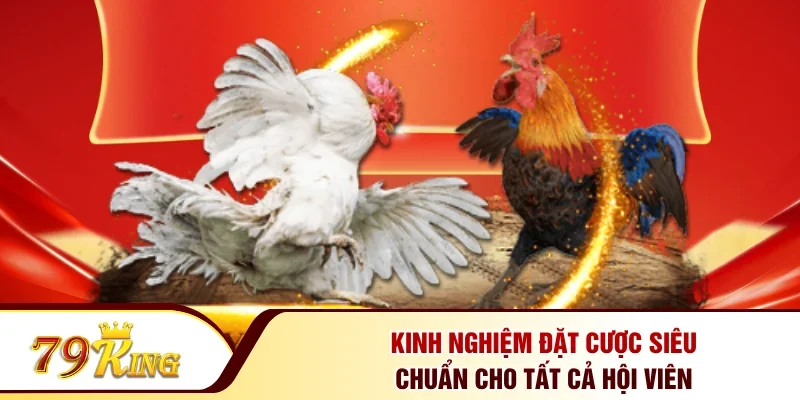 Kinh nghiệm đặt cược siêu chuẩn cho tất cả hội viên 